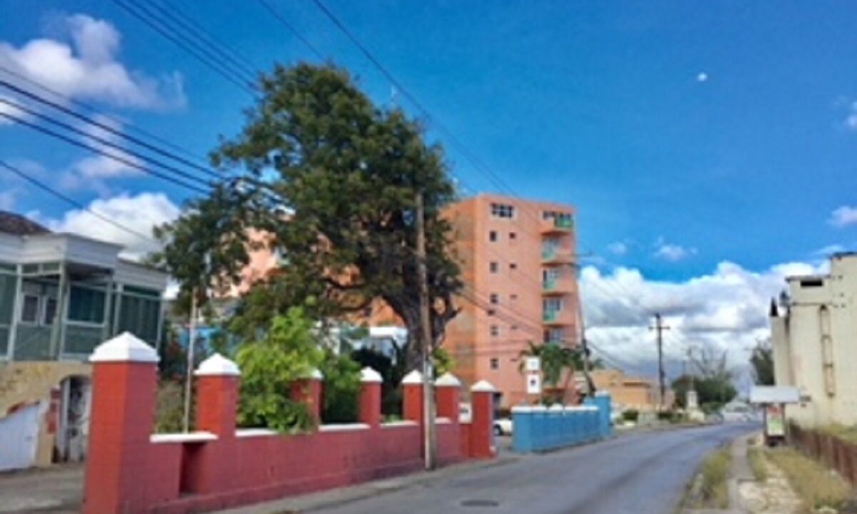 Photo of Outdoor in Hastings