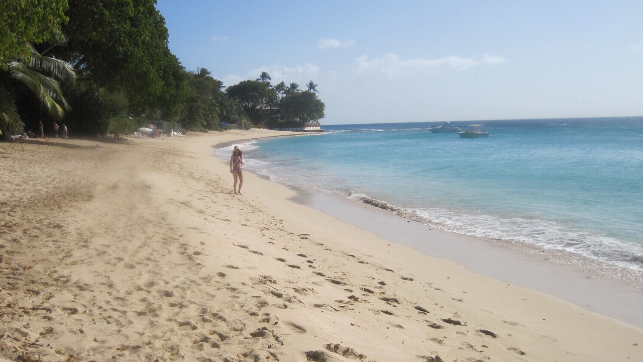 Photo of Others in Lower Carlton Beach