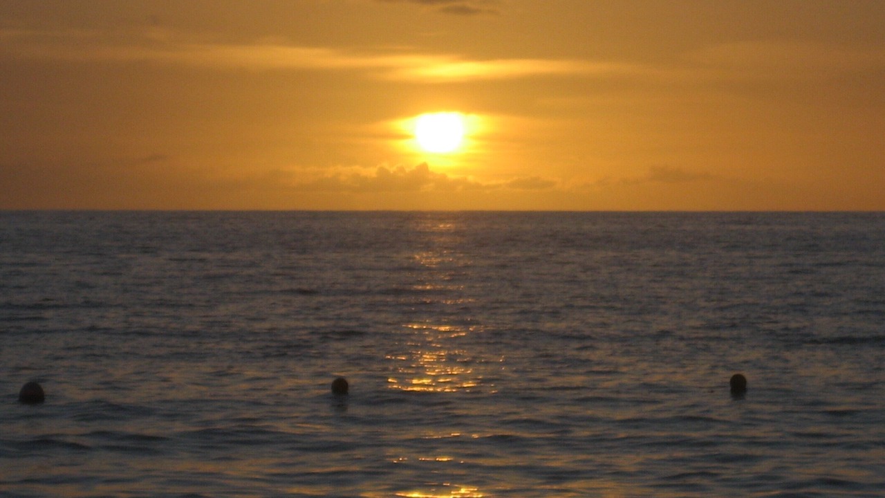 Photo of Others in Lower Carlton Beach
