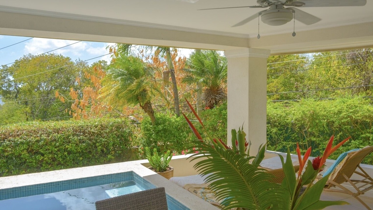 Photo of Outdoor in Lower Carlton Beach