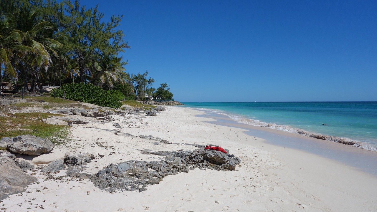 Photo of Others in Silver Sands