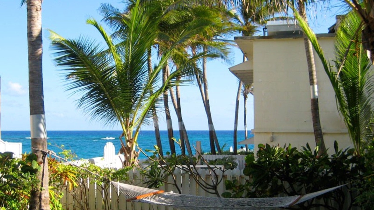 Photo of Others in Silver Sands