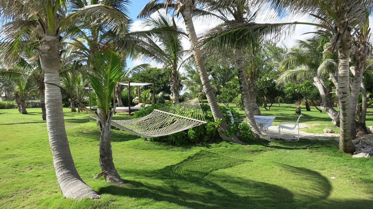 Photo of Outdoor in Silver Sands