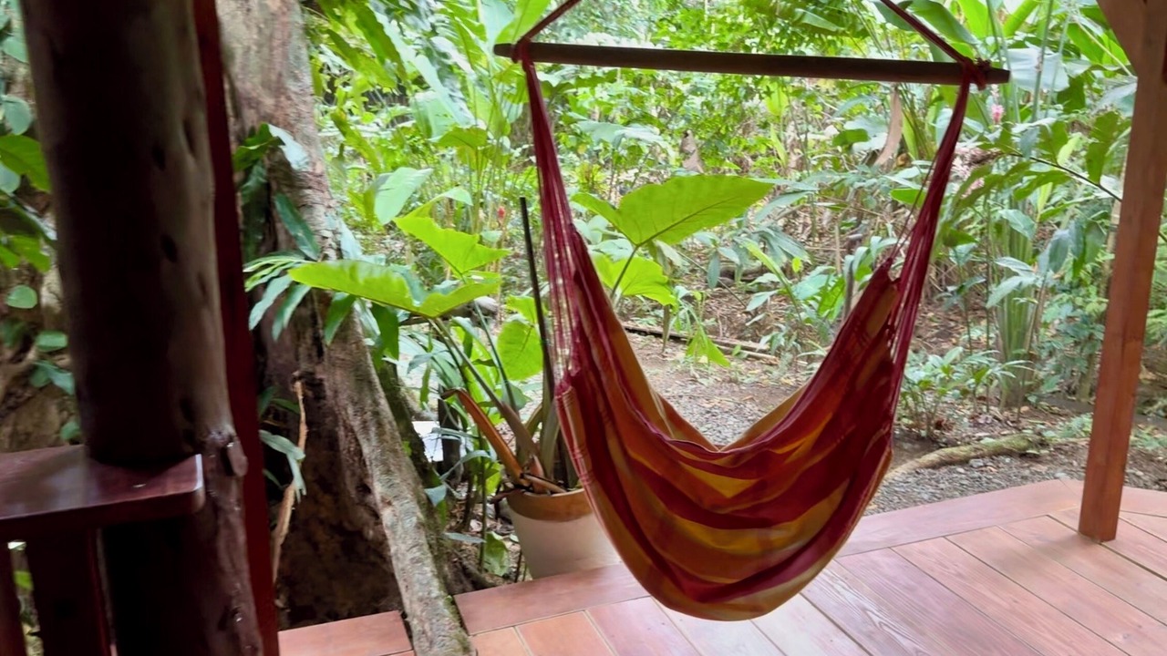Photo of Others in Bocas del Toro