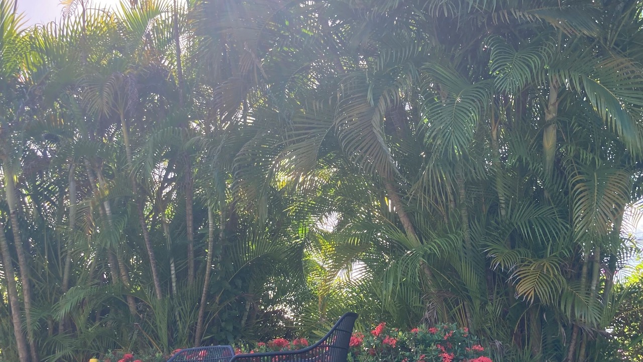 Photo of Outdoor in Sunset Crest