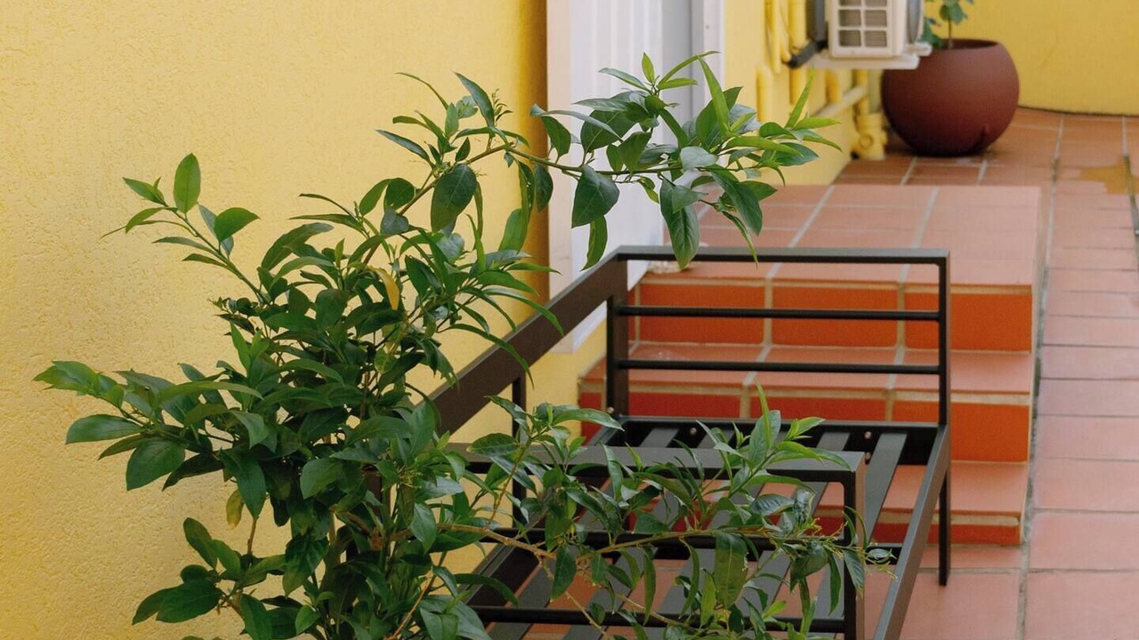 Photo of Patio Balcony in Bridgetown