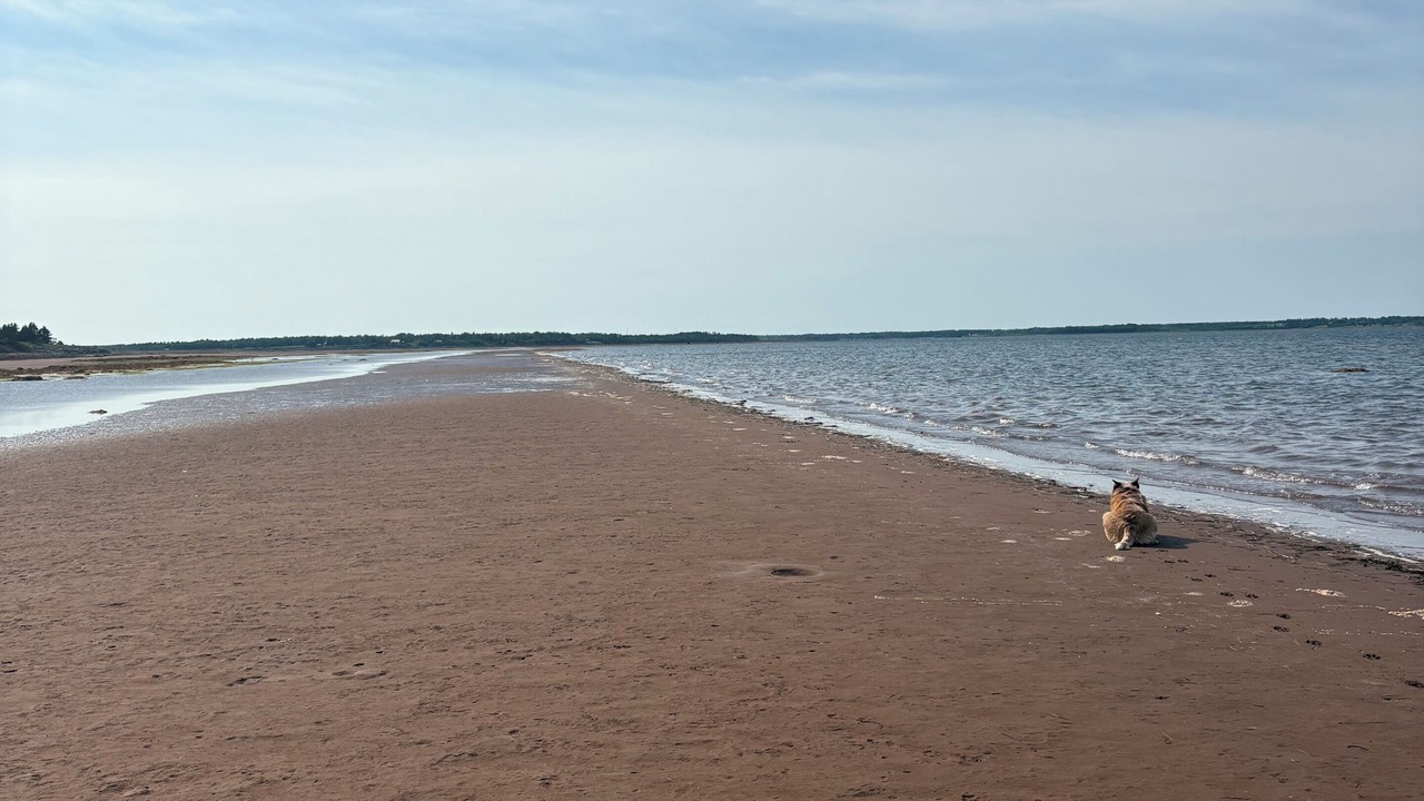 Photo of Others in North Shore