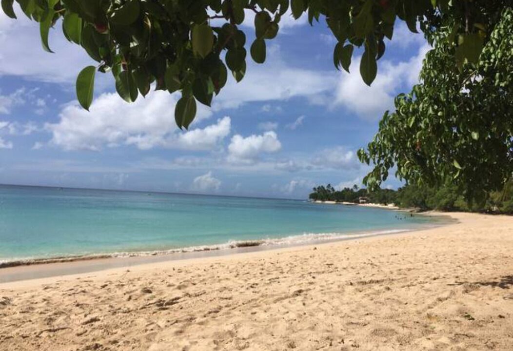 Photo of Others in Merlin Bay