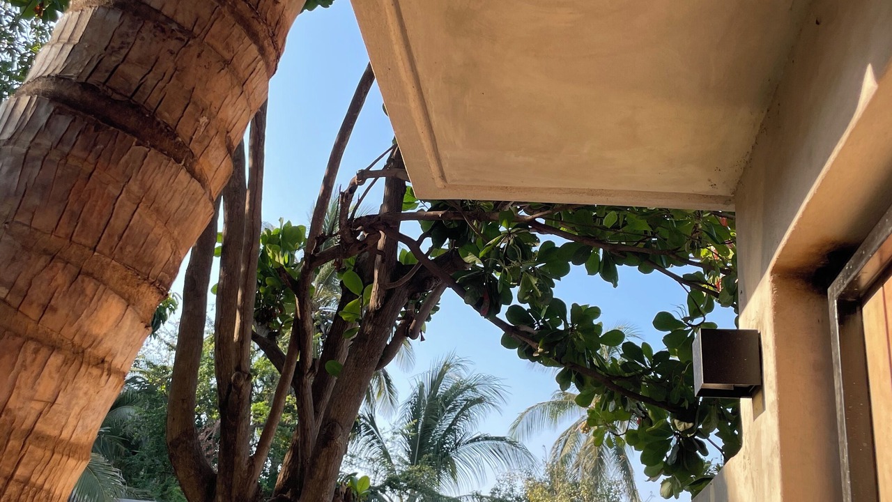 Photo of Patio Balcony in Brisas de Zicatela