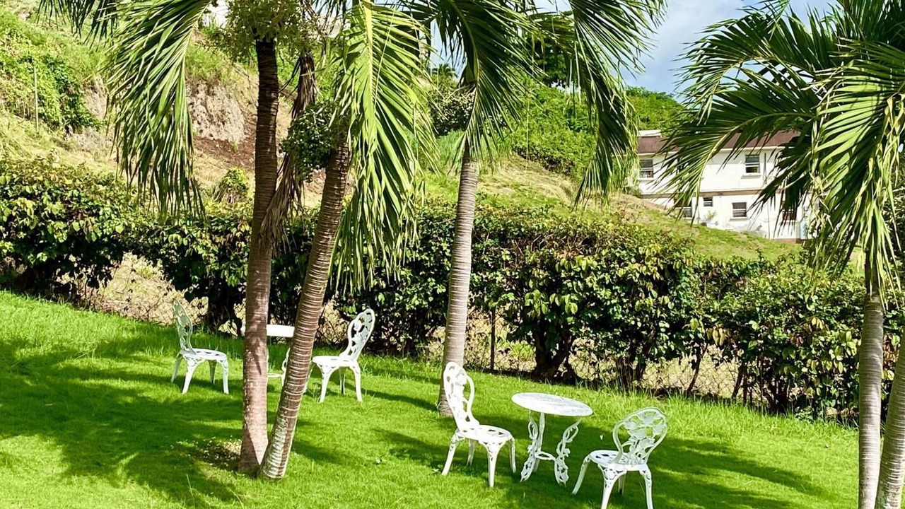 Photo of Outdoor in Saint Peter Parish