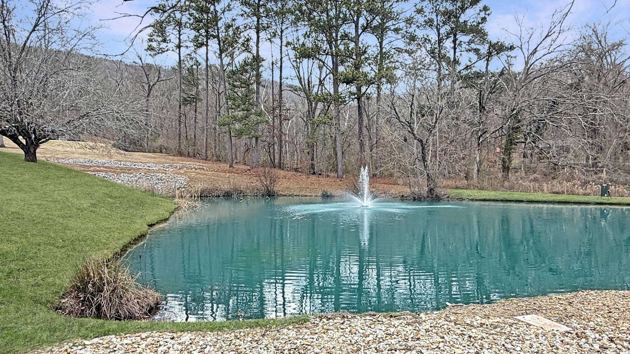 Photo of Outdoor in Lookout Valley Neighborhood Association