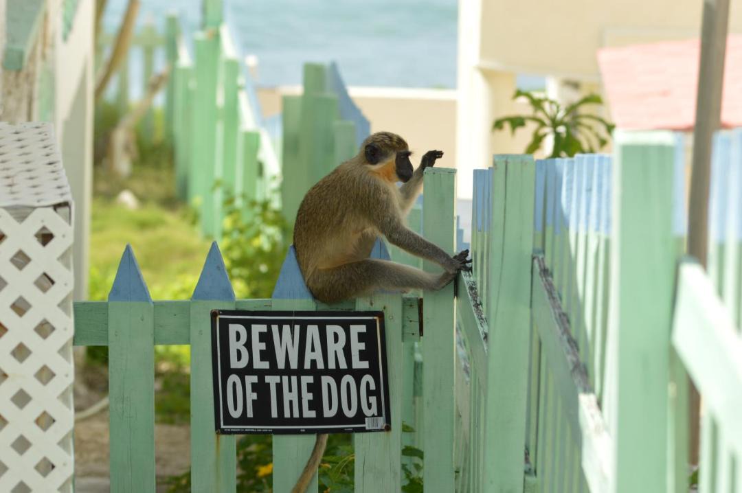 Photo of Others in Silver Sands