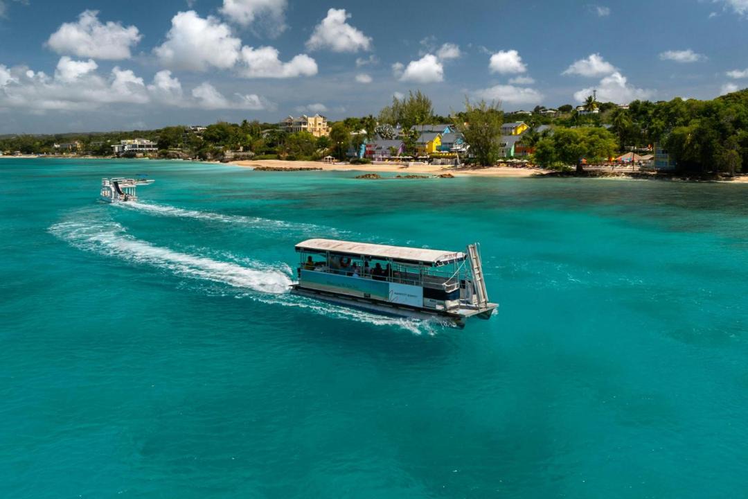 Photo of Others in Old Trees Bay
