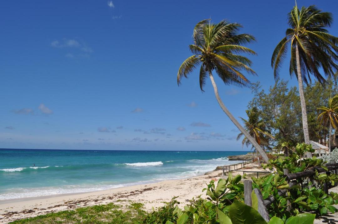 Photo of Others in Silver Sands
