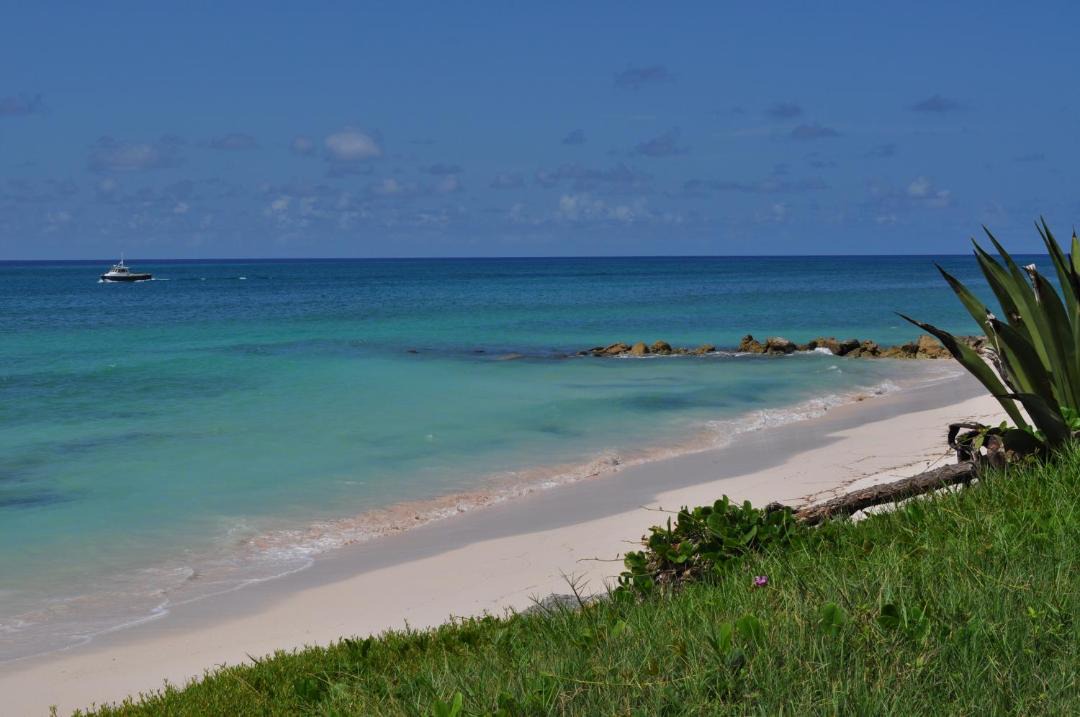 Photo of Others in Silver Sands