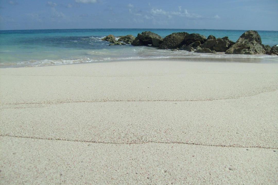 Photo of Others in Silver Sands