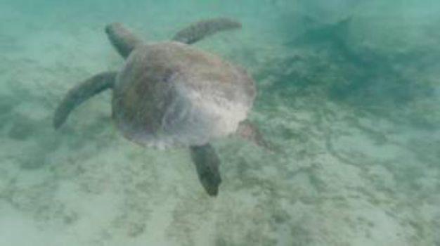 Photo of Others in Atlantic Shores