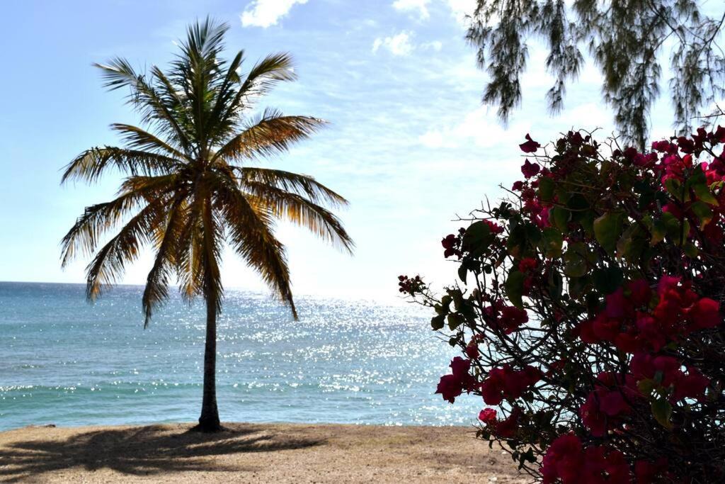 Photo of Others in Atlantic Shores