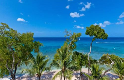 Old Trees Bay Apartment | Waterside Apartment 101 by Island Villas
