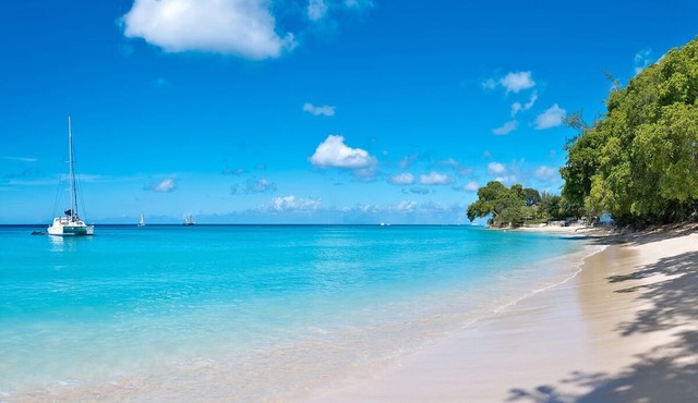Stunning Private Tropical Retreat with Resort Pool - Claridges 1
