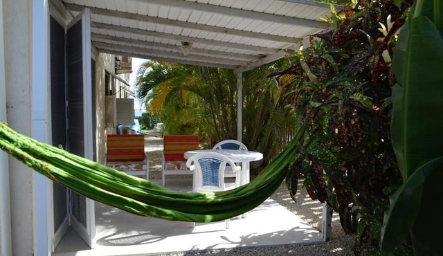 Green Garden Apartment