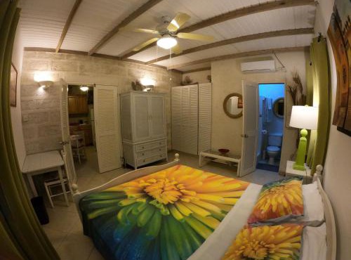 Yellow Bird Apartment